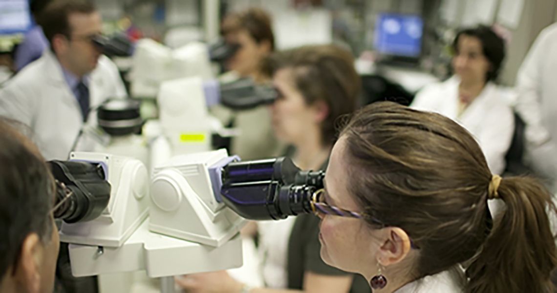 Lab technicians using microscopes 