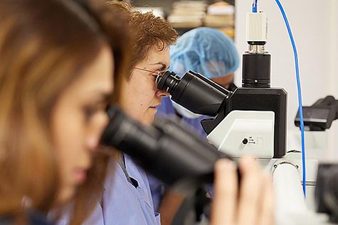 Lab technicians using microscopes 