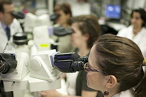 Lab technicians using lab tools