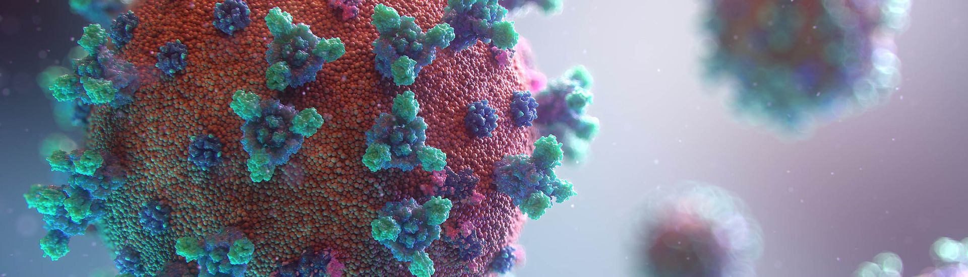 COVID-19 virus 